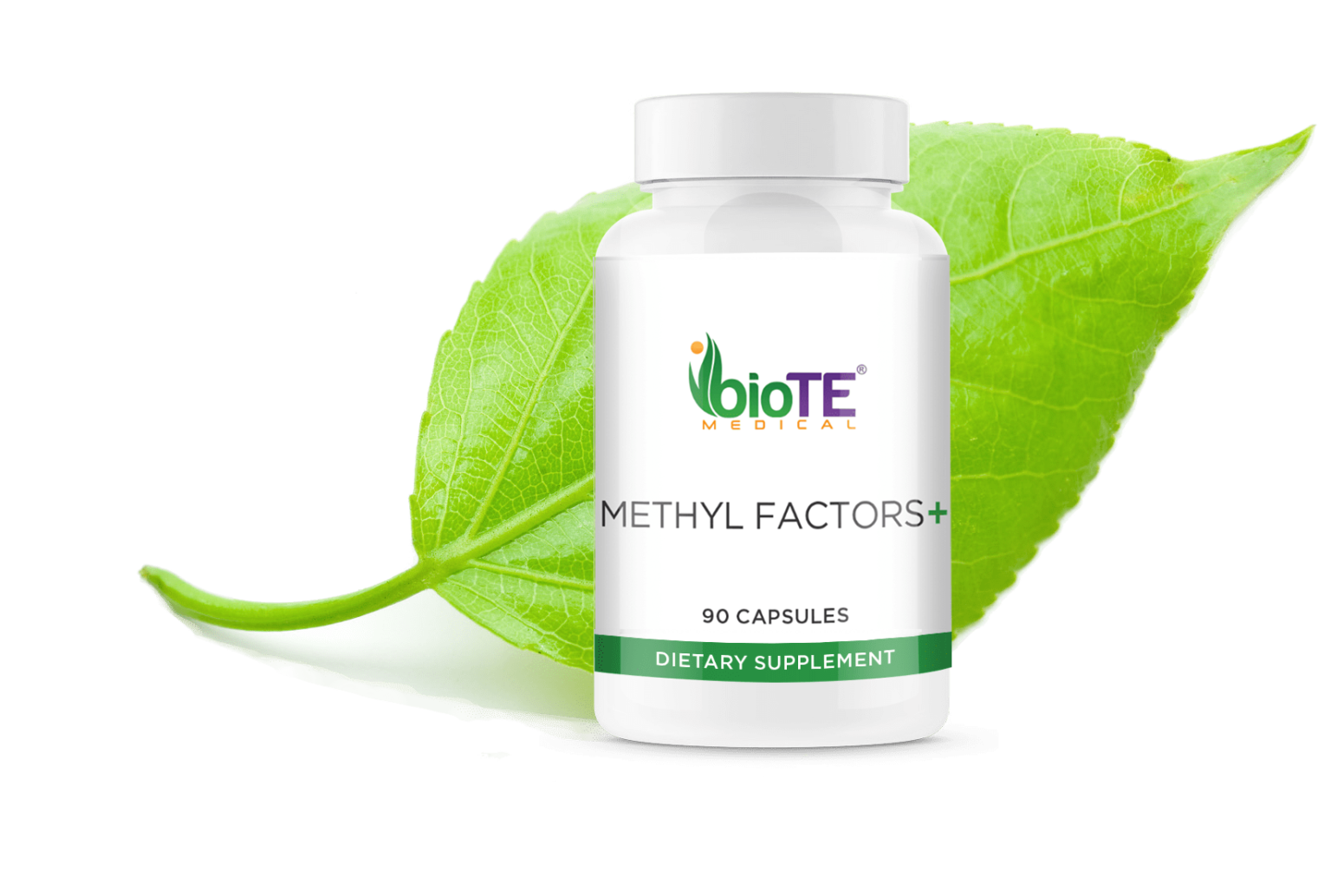 06_Nutraceuticals_DT_Products_Methyl Factors.